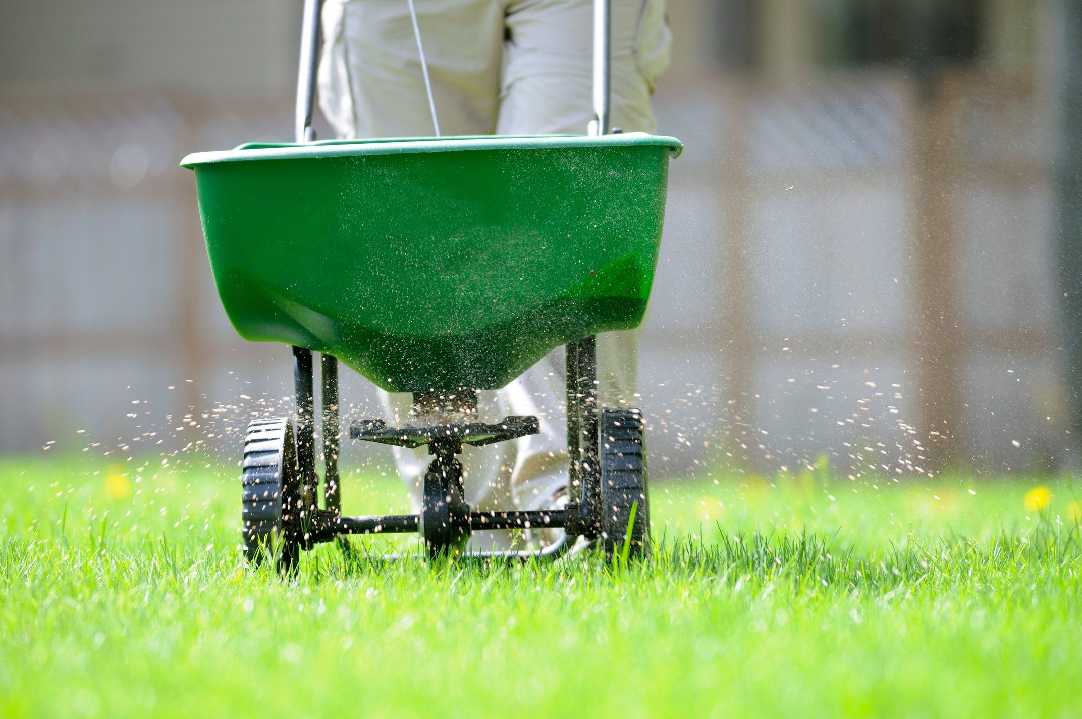 Spring lawn care.