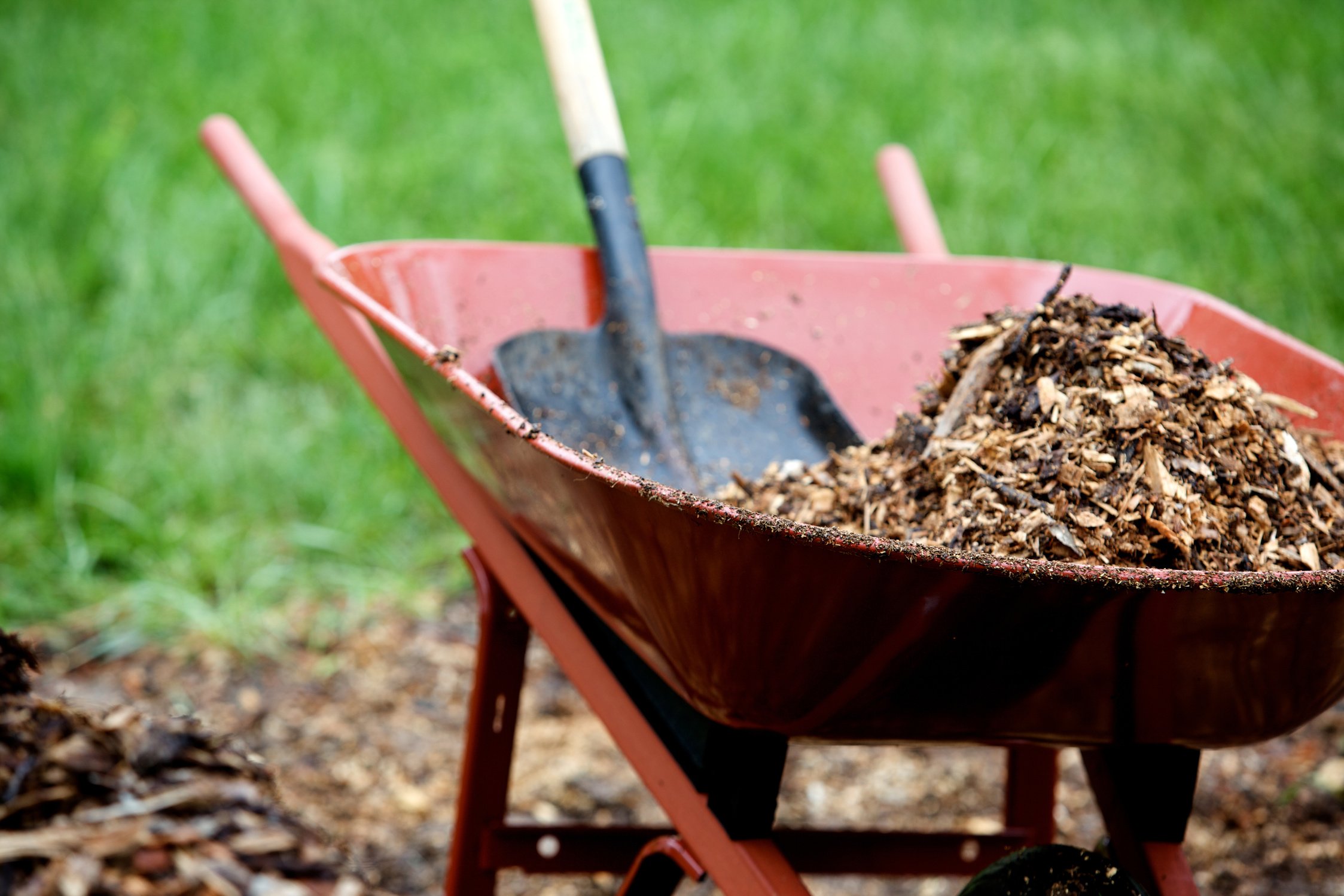 landscape mulch yard work